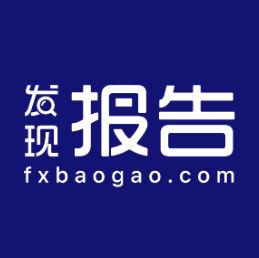 发现报告 图标