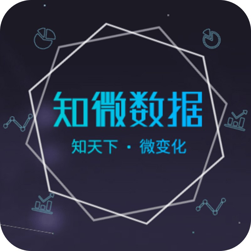 知微数据 图标